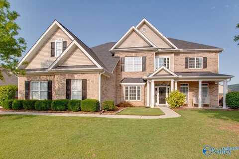 3111 Rocky Meadows Road, Owens Cross Roads, AL 35763