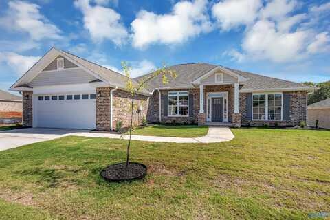 14120 Creekwater Court, Harvest, AL 35749