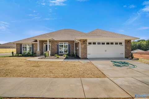 14105 Creekwater Court, Harvest, AL 35749