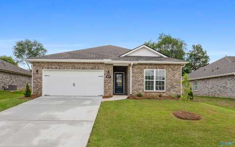 209 Sunny Springs Court, New Market, AL 35761