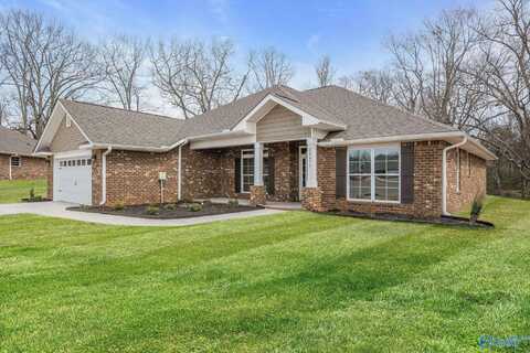 14093 Creekwater Court, Harvest, AL 35749