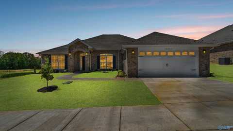 14093 Creekwater Court, Harvest, AL 35749