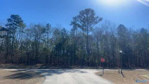 1.3+/- Ac Stoney Point Landing, Double Springs, AL 35553