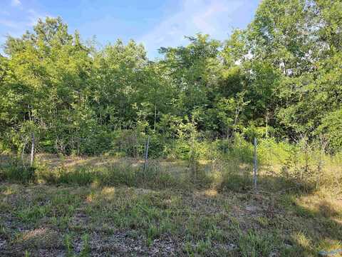 20 Acres #2 Lee Road E, Falkville, AL 35640