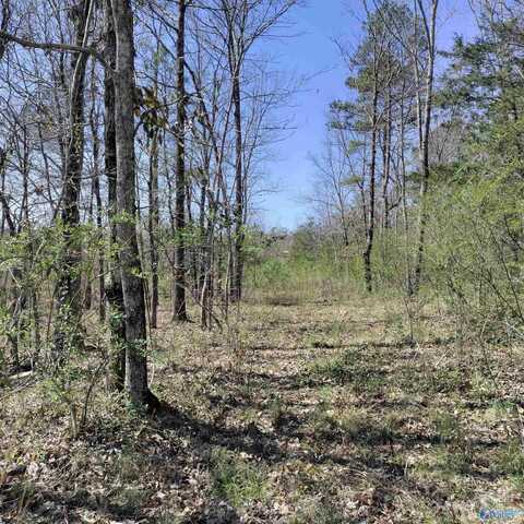 5.86 Acres Cottonwood Lane, Falkville, AL 35622