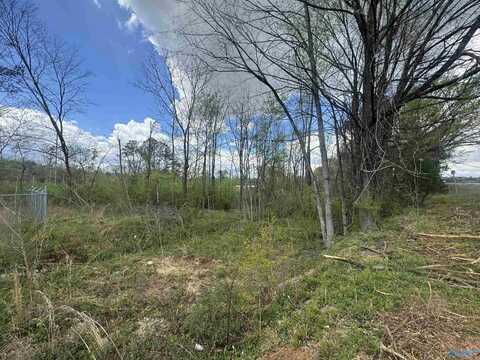 Lot 4 W Highway 31 W, Decatur, AL 35603