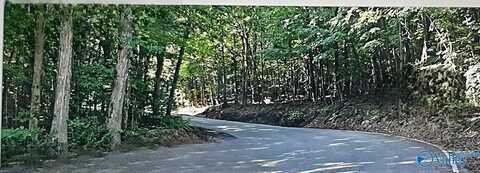 2.9 Acres Keel Mountain Road, Gurley, AL 35748