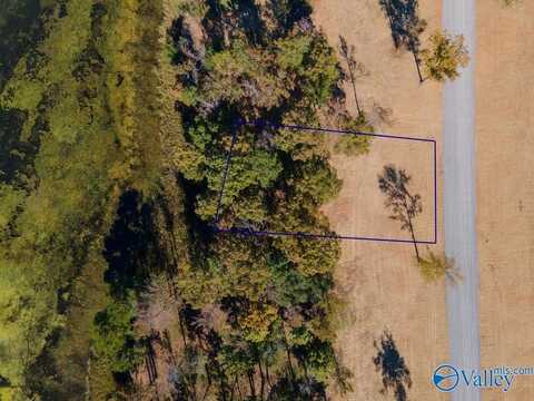 Lot 9 Lake Creek Drive, Guntersville, AL 35976