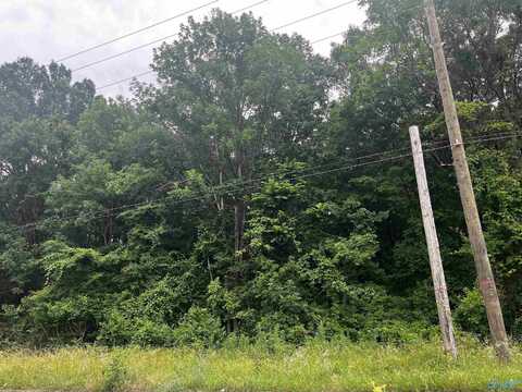 5.9 Acres 14th Avenue SW, Decatur, AL 35603