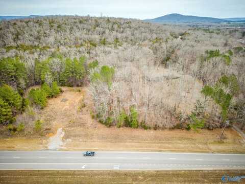 3 Acres N Highway 431, New Hope, AL 35760