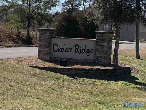 33 Cedar Ridge Circle, Hokes Bluff, AL 35903