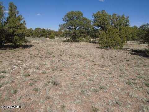 913 S Kaibab Road, Williams, AZ 86046