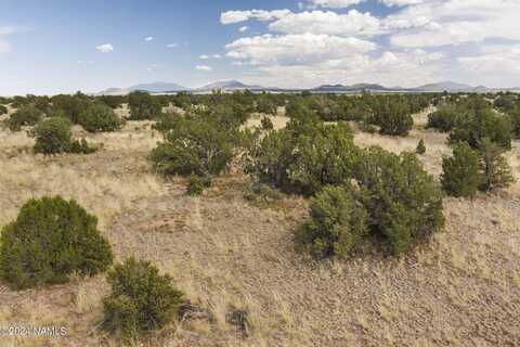 851 S Wyandotte Road, Williams, AZ 86046