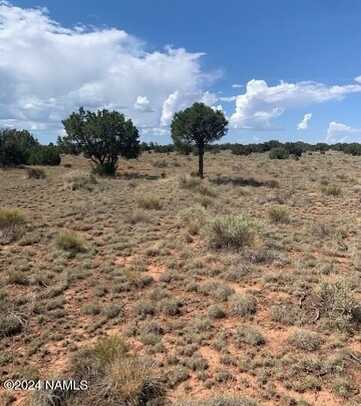 823 S Lodestar Drive, Williams, AZ 86046
