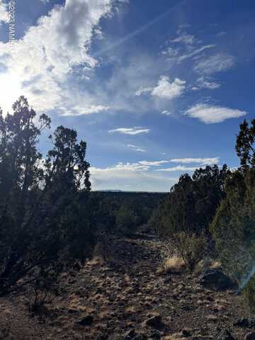 804 Bighorn Trail, Williams, AZ 86046