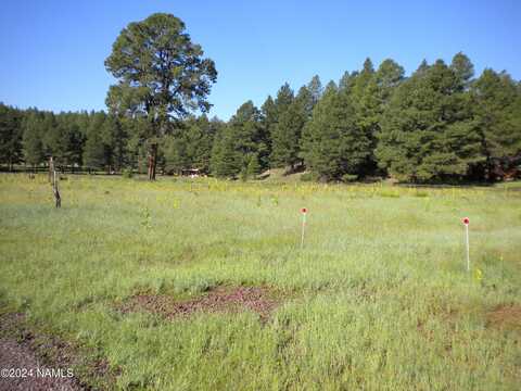 6090 Big Game Trail, Flagstaff, AZ 86005