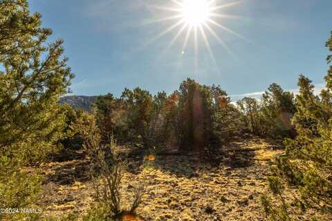 10443 N Covey Lane, Williams, AZ 86046