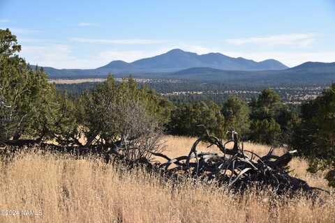 20202107c Honeysuckle Road Road, Williams, AZ 86046