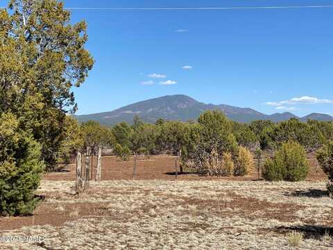 7065 Tulip Trail, Williams, AZ 86046