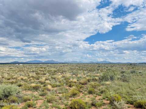 2227 E Richard Road, Williams, AZ 86046