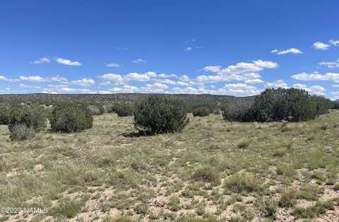 2272 W Critter Pass, Williams, AZ 86046