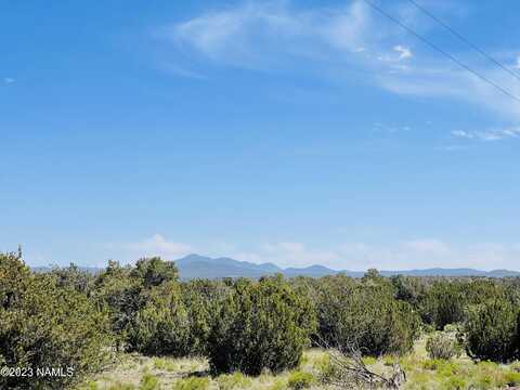 2074 W Critter Pass, Williams, AZ 86046