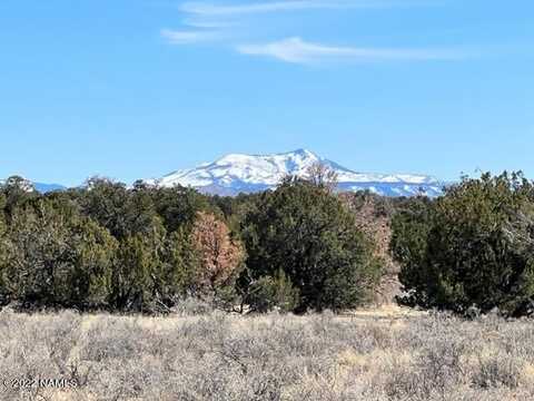 000 502-31-130b 12 Acres - Mohave Road, Williams, AZ 86046