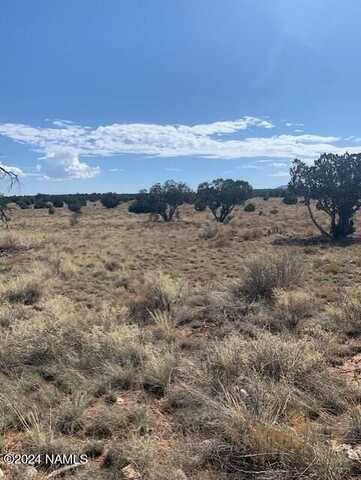 795 S Kenwood Street, Williams, AZ 86046