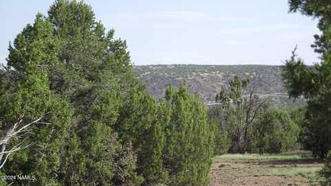 1197 E Indian Blanket Road, Williams, AZ 86046