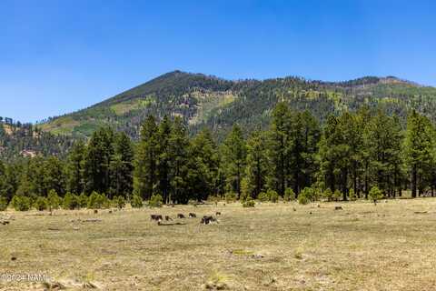 00 Crowley Trail, Flagstaff, AZ 86001