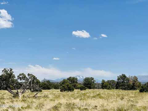 6379 Water Tank Circle, Williams, AZ 86046