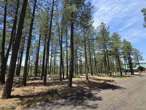 395 W Lazy Pine Lane, Munds Park, AZ 86017