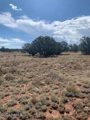 795 S Lodestar Drive, Williams, AZ 86046