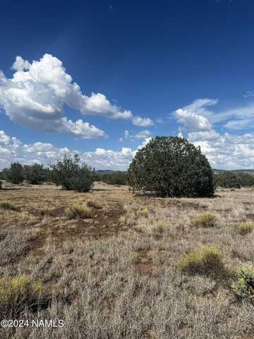 3101 W Yukon Drive, Ash Fork, AZ 86320