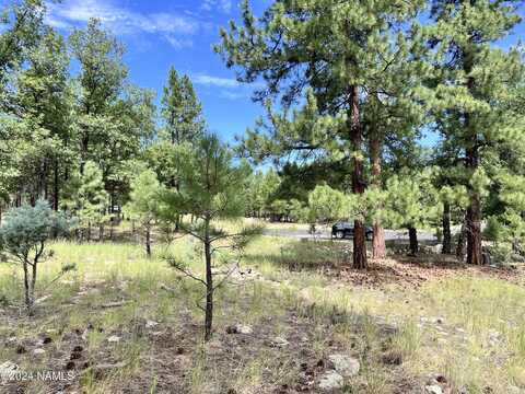 1601 Mule Deer Place, Happy Jack, AZ 86024