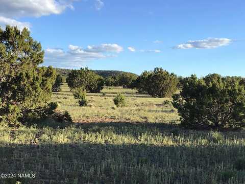 14020 Howard Mesa Loop, Williams, AZ 86046