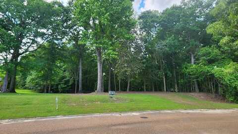 00 Bluff Hills Place, Natchez, MS 39120