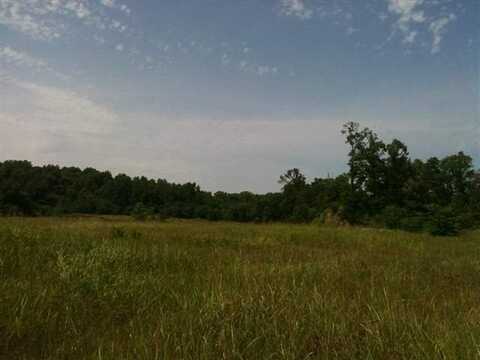 37 Acres River Terminal Road, Natchez, MS 39120