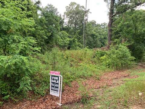 LOT # 63 HWY 84 LOT, Natchez, MS 39120