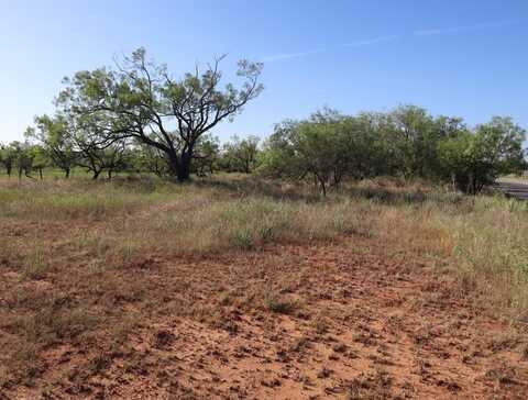 TBD County Road 133, Sweetwater, TX 79556