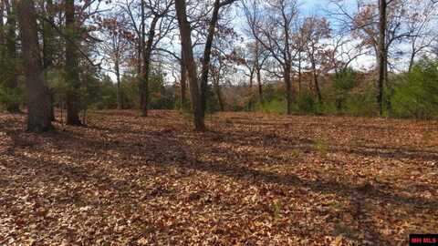 Lot 5 BURGGRAF TRAIL, Oakland, AR 72634