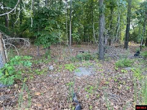 Lots 12,13,14 OAK RIDGE DRIVE, Bull Shoals, AR 72619