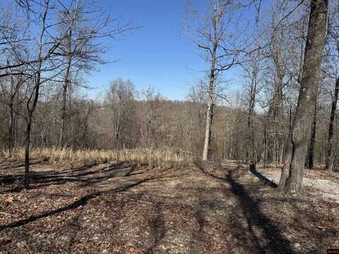 Off BACKWAY ROAD, Yellville, AR 72687