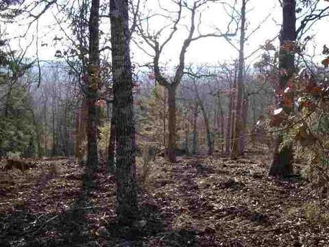 Lots 14,15,16 MC 8071, Bull Shoals, AR 72619