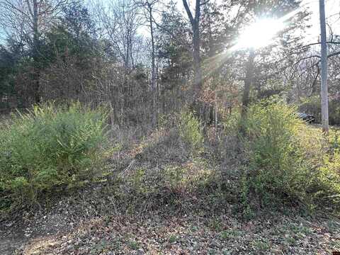 270-00058-000 E LAKESHORE DRIVE, Cherokee Village, AR 72529