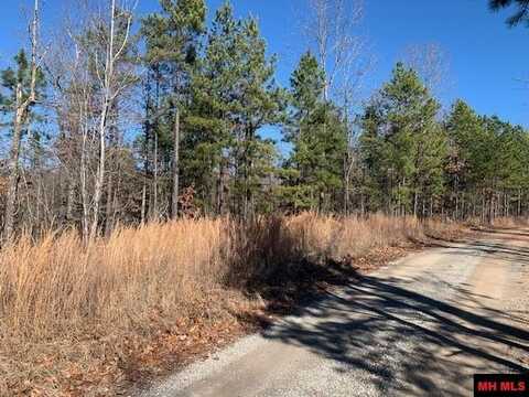 001-03595-006 CHEROKEE RIDGE LANE, Yellville, AR 72687