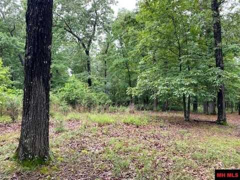 Lot 5 LAKEVIEW CIRCLE, Bull Shoals, AR 72619