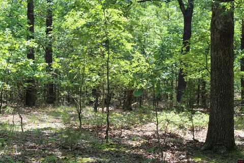 Lot 6 EAGLE RIDGE ROAD, Protem, MO 65733