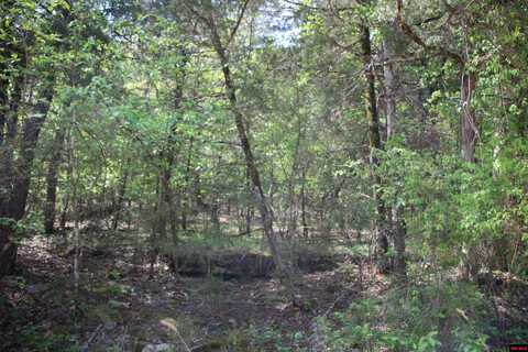 Lot 9 MC 2039, Lead Hill, AR 72644