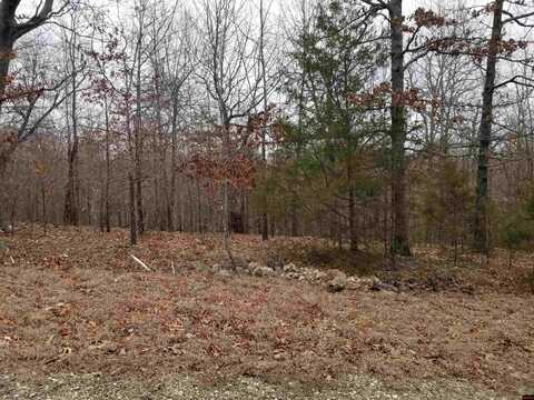 Lot 15 BUCKHEAD LANE, Mountain Home, AR 72653